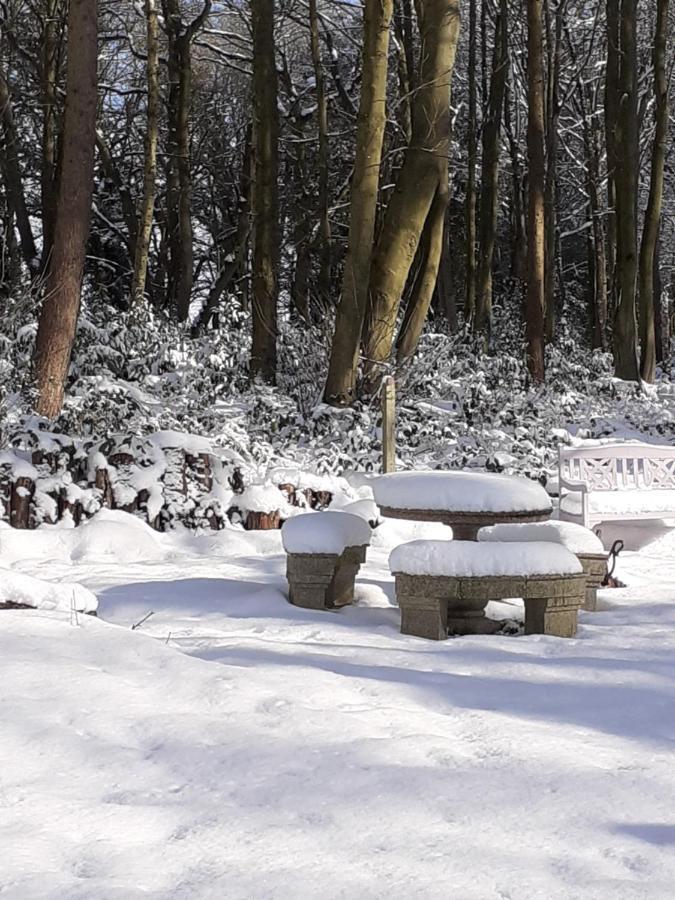 Gingerbread Cottage Yurts Dereham Εξωτερικό φωτογραφία
