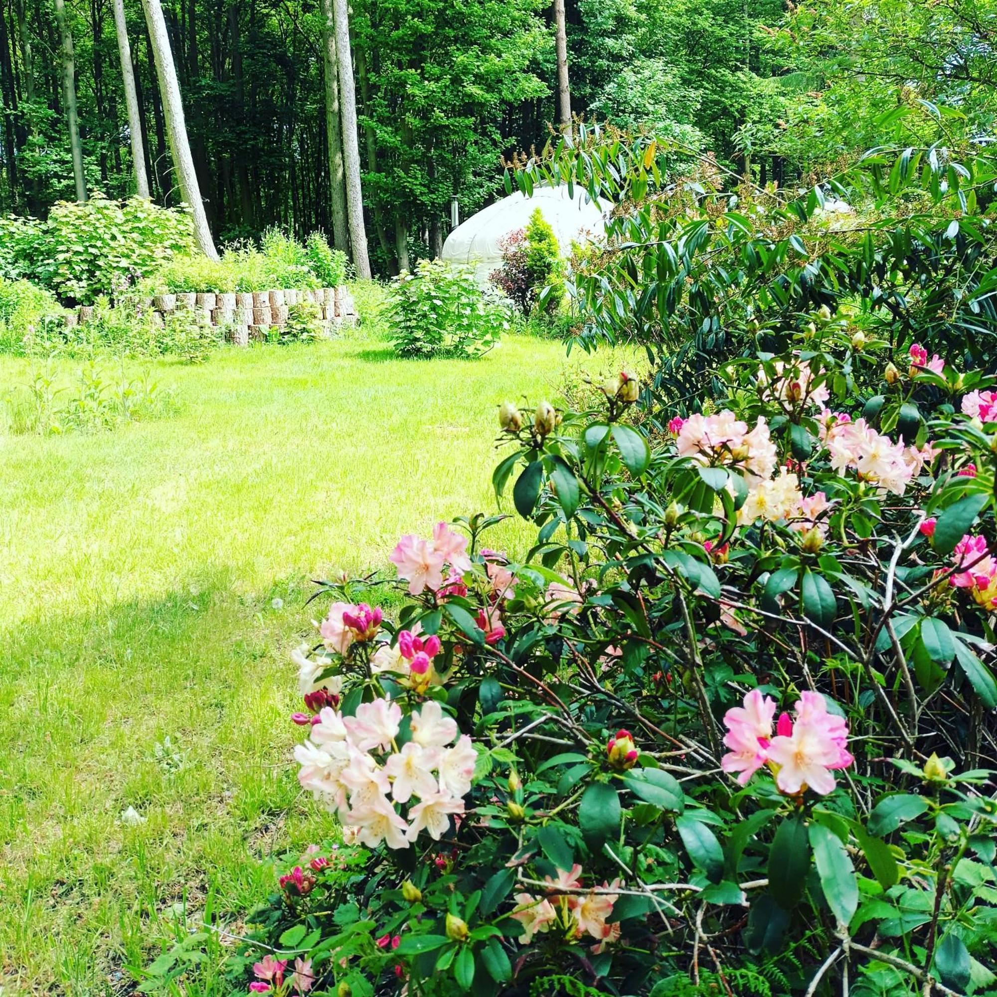 Gingerbread Cottage Yurts Dereham Εξωτερικό φωτογραφία