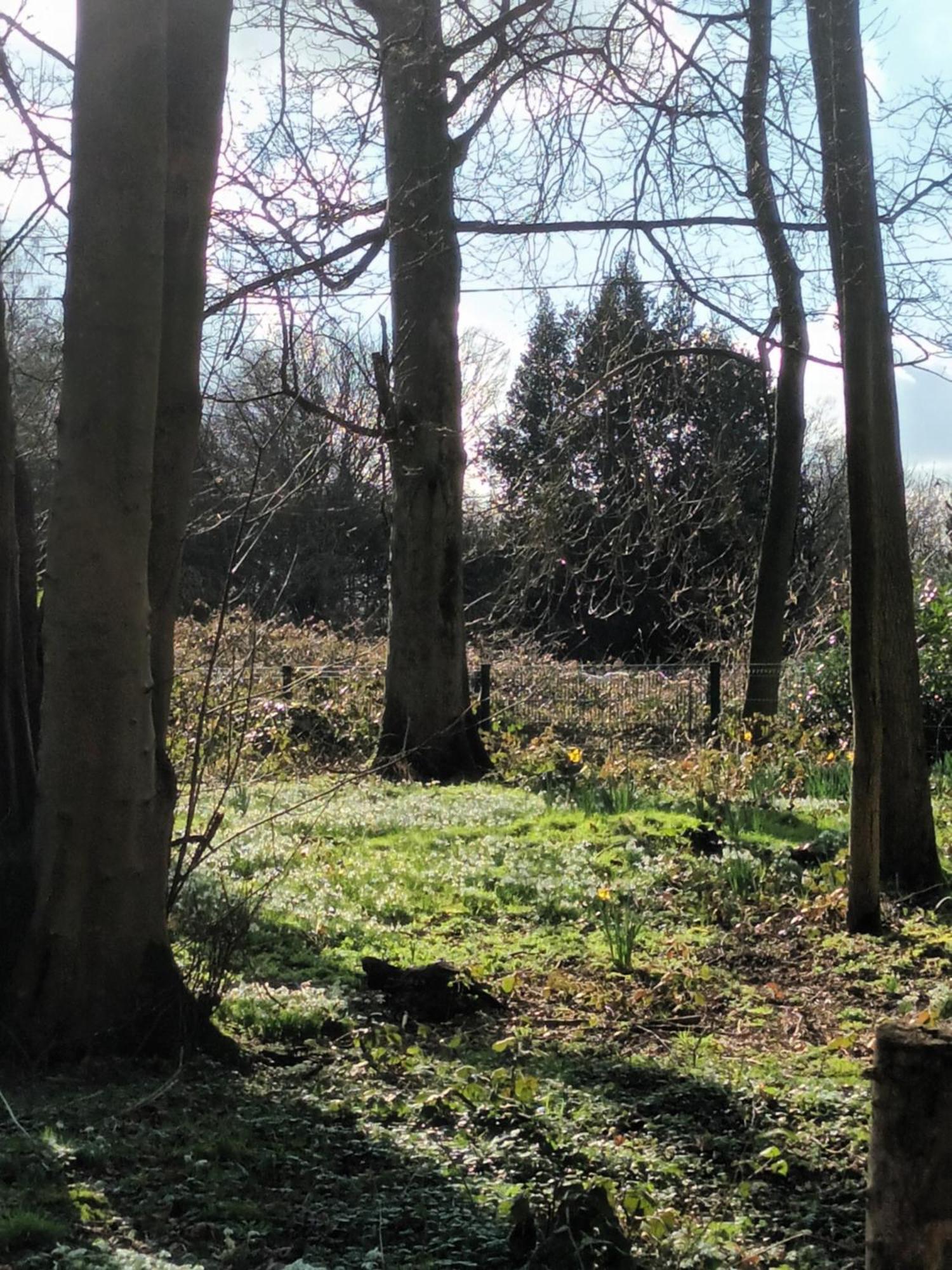 Gingerbread Cottage Yurts Dereham Εξωτερικό φωτογραφία