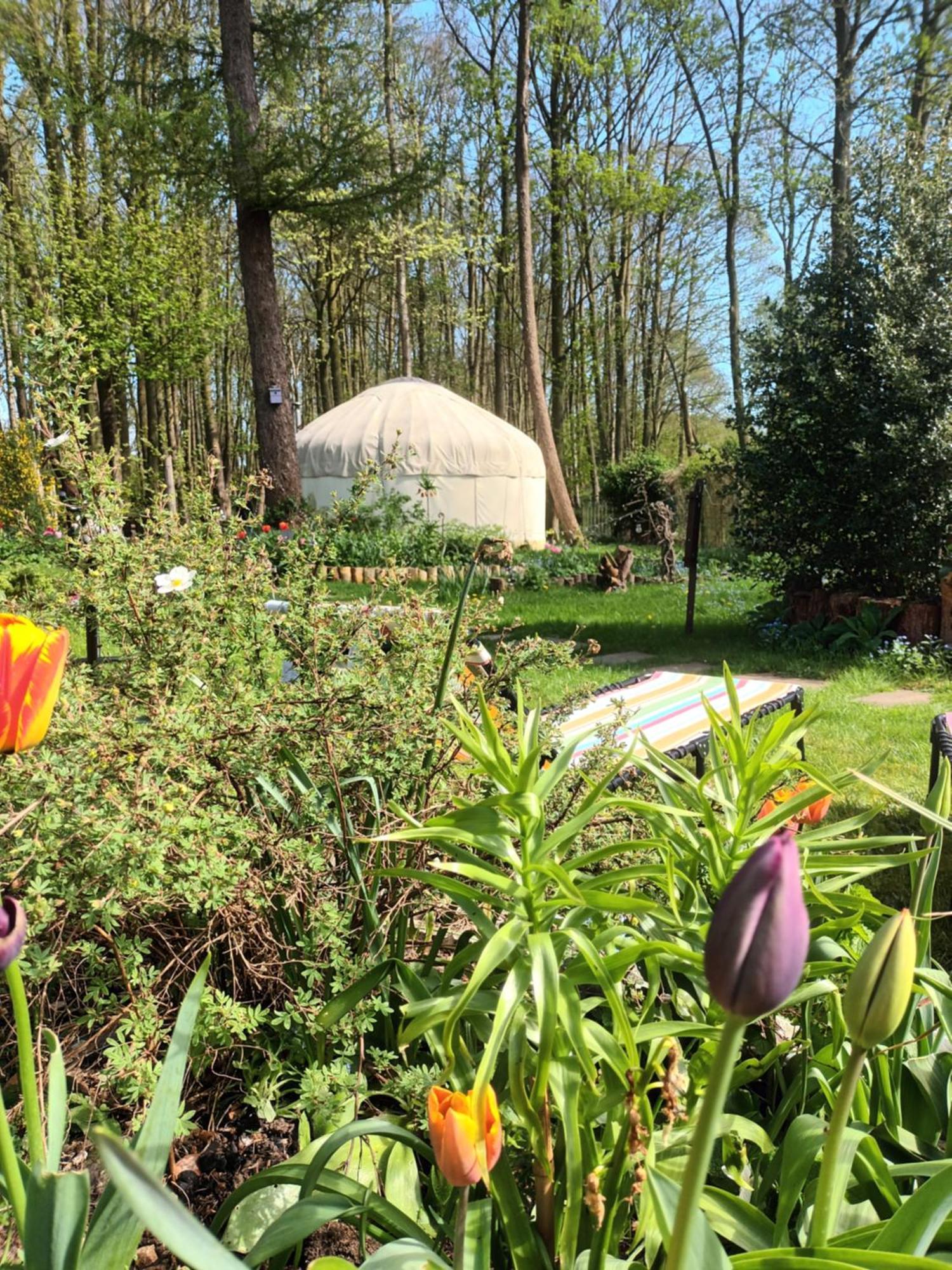 Gingerbread Cottage Yurts Dereham Εξωτερικό φωτογραφία