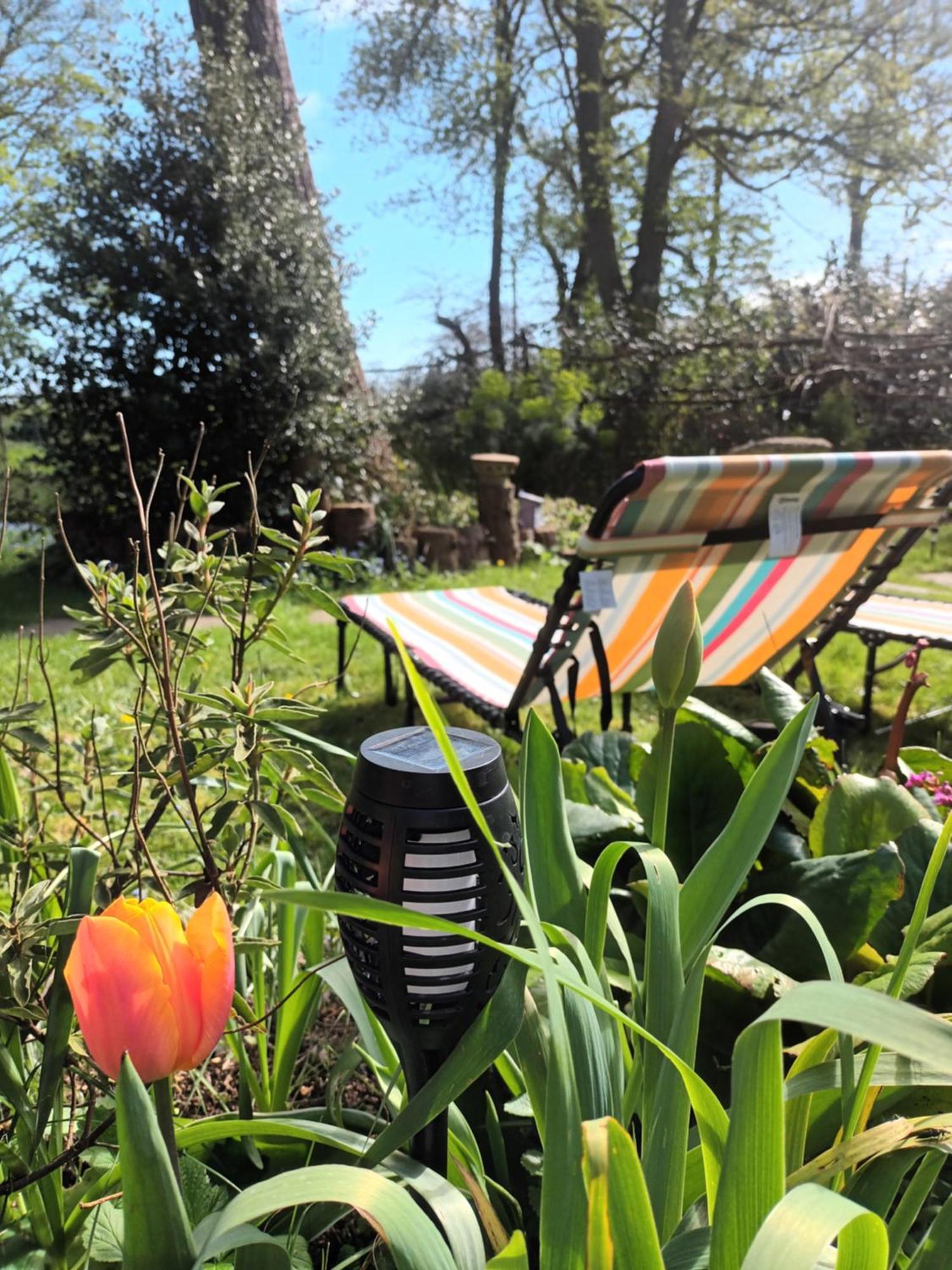 Gingerbread Cottage Yurts Dereham Εξωτερικό φωτογραφία