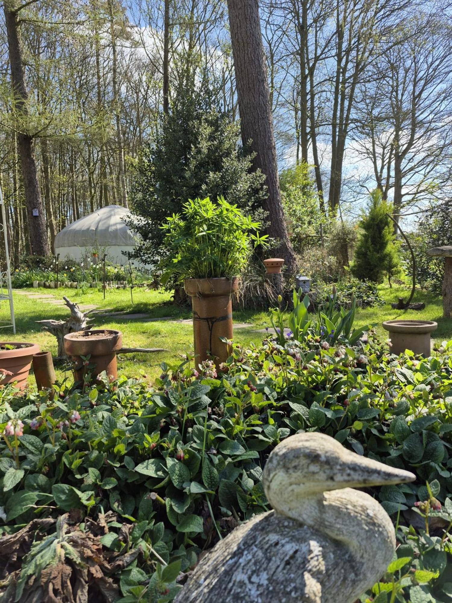 Gingerbread Cottage Yurts Dereham Εξωτερικό φωτογραφία