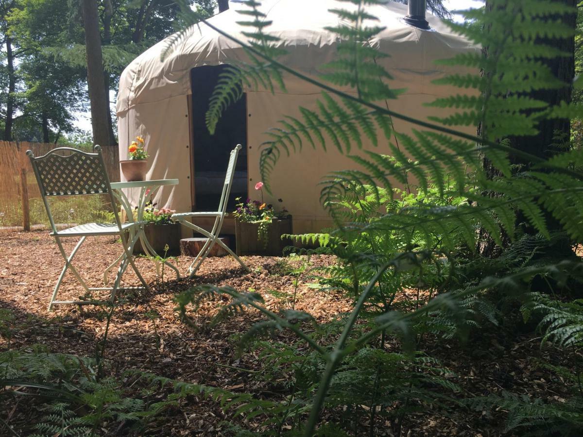 Gingerbread Cottage Yurts Dereham Εξωτερικό φωτογραφία
