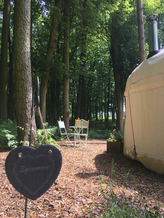 Gingerbread Cottage Yurts Dereham Εξωτερικό φωτογραφία
