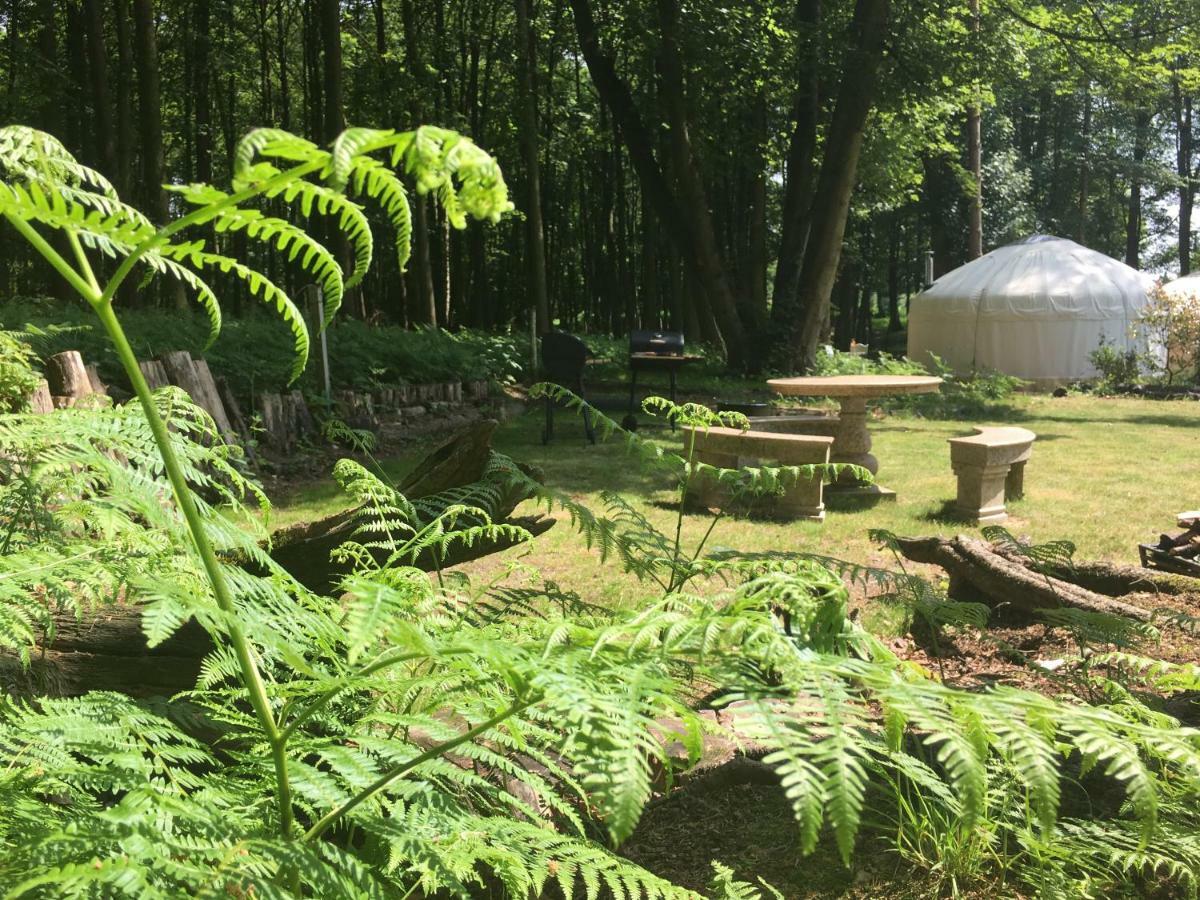 Gingerbread Cottage Yurts Dereham Εξωτερικό φωτογραφία