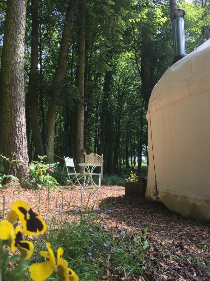 Gingerbread Cottage Yurts Dereham Εξωτερικό φωτογραφία